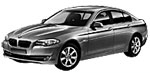 BMW F10 C200E Fault Code
